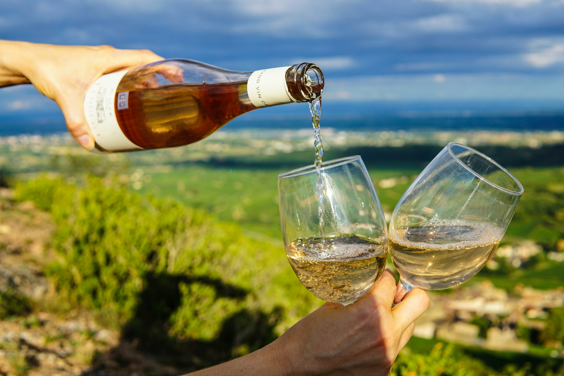 From Sparkling Wine Skeptics to Digital Adoption: What California Harvest Season Taught Me About User Onboarding